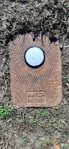 a view of a house with a tree