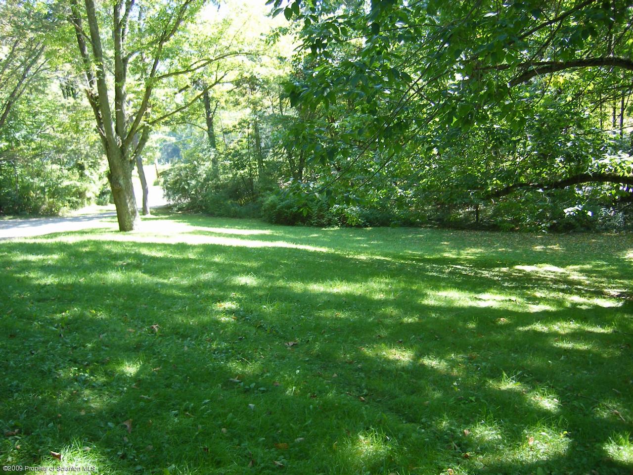 252 Lane Hill Road Tunkhannock, PA 18657 - Photo 8 of 8 a view of a lush green space