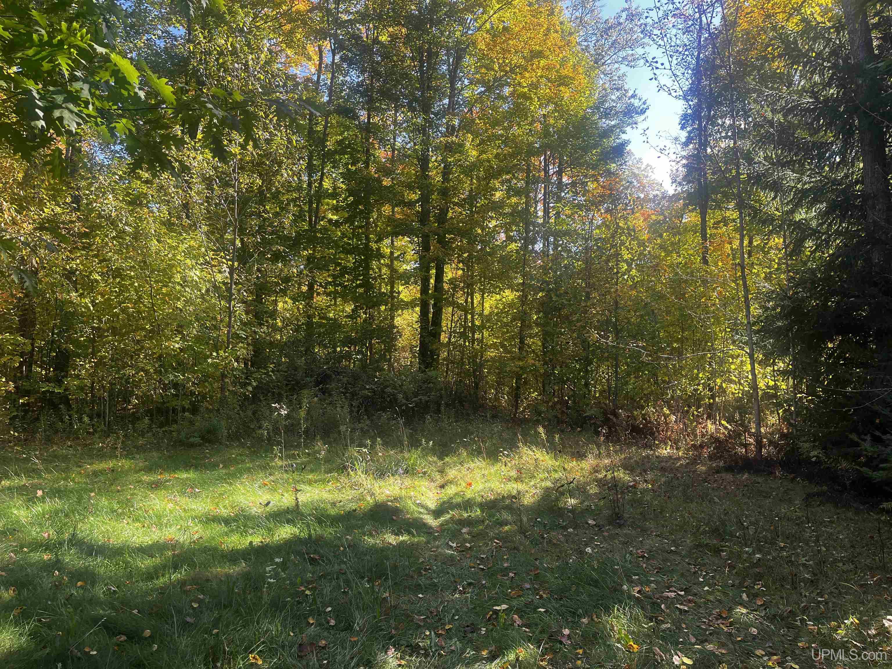 4104 Storm Road Chatham, MI 49816 - Photo 15 of 45