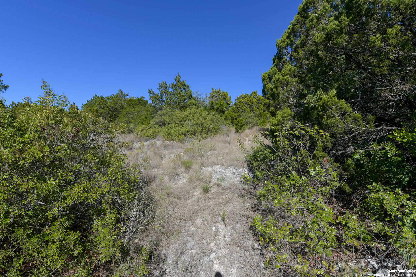 11266 Condor Pass Helotes, TX 78023 - Photo 3 of 7 a view of a yard with a tree