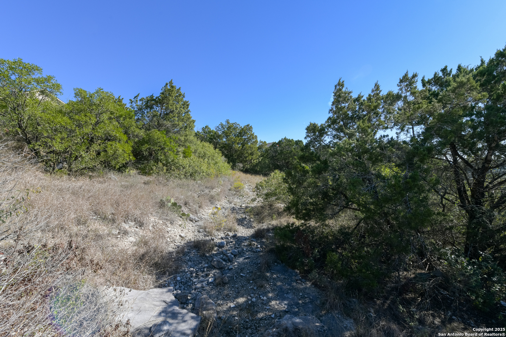 11266 Condor Pass Helotes, TX 78023 - Photo 5 of 7 a view of a forest with a tree in the background