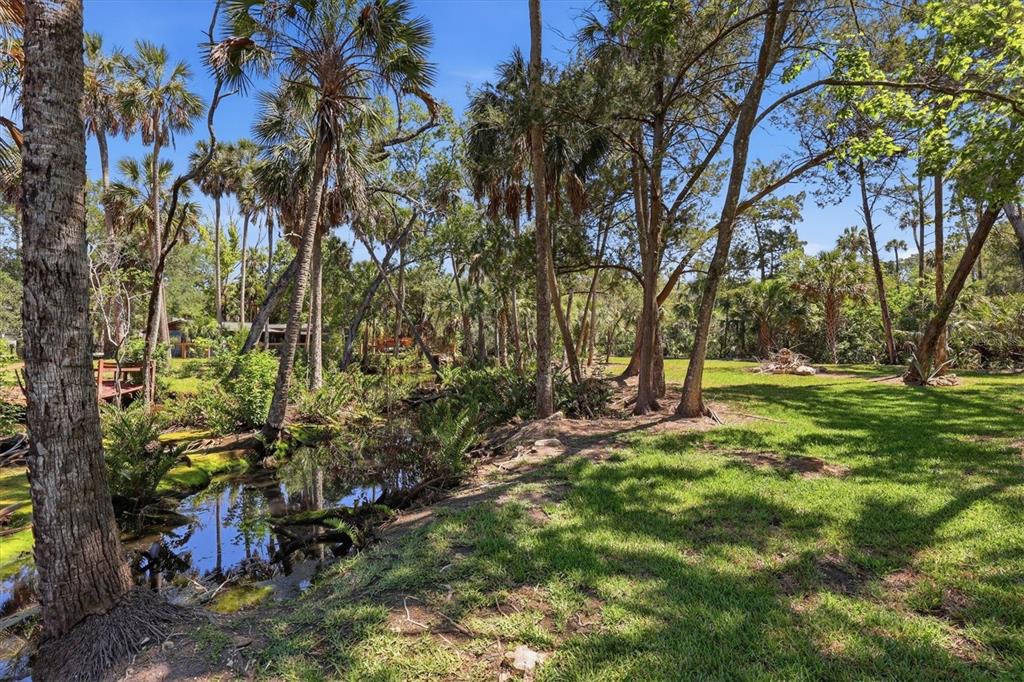 6248 Colony Circle Weeki Wachee, FL 34607 - Photo 11 of 20 a view of yard