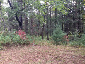 81 Goose Pond Road Hanover, NH 03755 - Photo 5 of 7