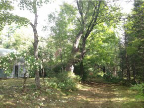 81 Goose Pond Road Hanover, NH 03755 - Photo 6 of 7