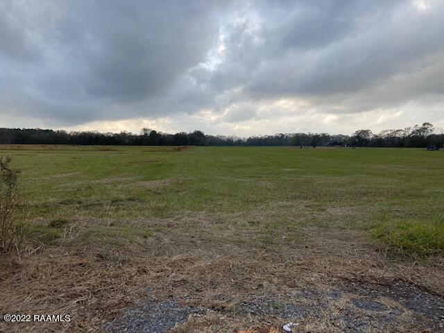10 Leroy Brooks Road Opelousas, LA 70570 - Photo 1 of 2 IMG_9526