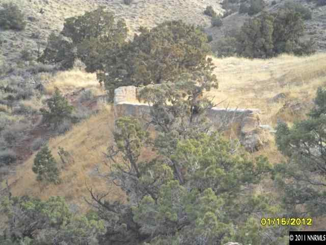 3230 Outback Lane Reno, NV 89510 - Photo 11 of 13 a view of a yard with large trees