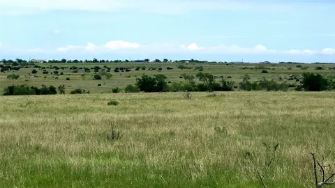 a view of a field of grass and trees