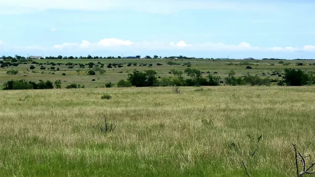 a view of a field of grass and trees