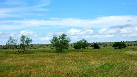 a view of a grassy field