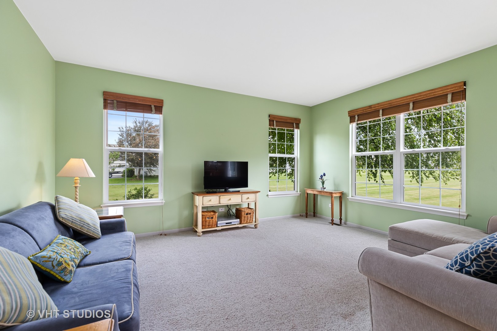 9006 Daniel Lane Spring Grove, IL 60081 - Photo 11 of 22