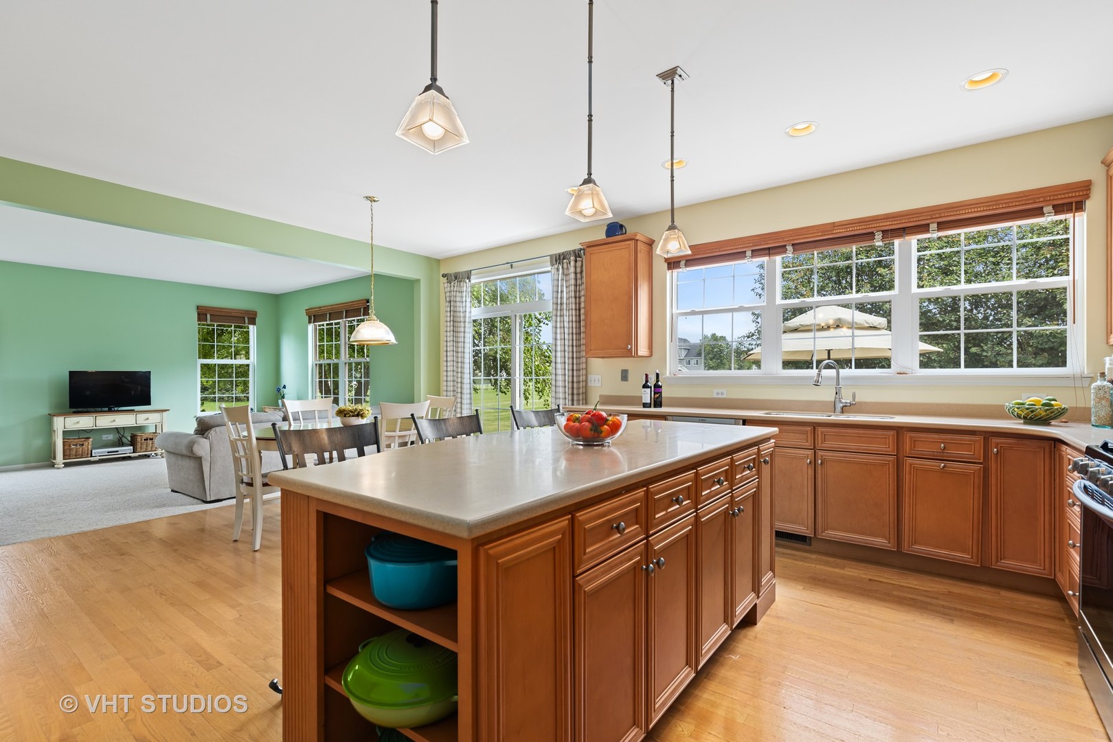 9006 Daniel Lane Spring Grove, IL 60081 - Photo 8 of 22