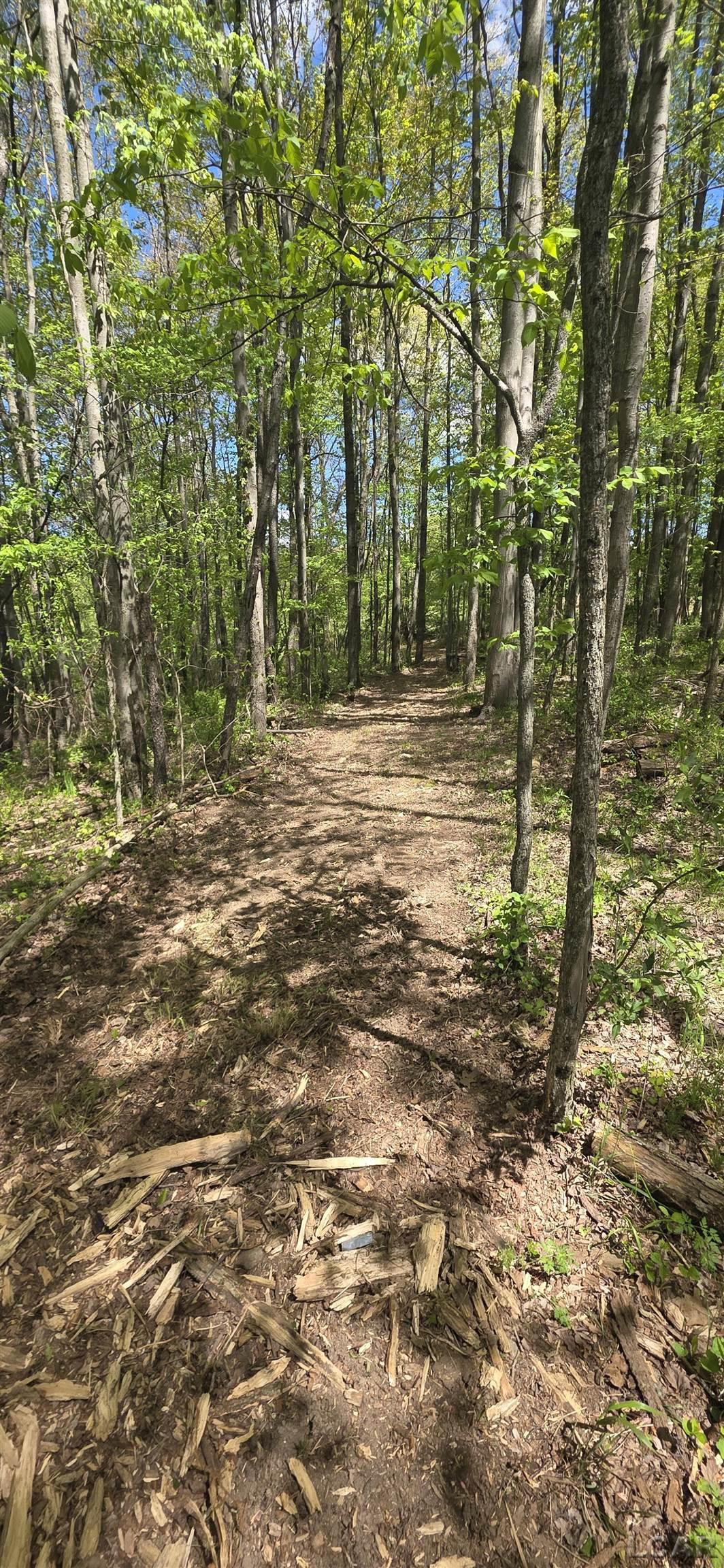 15252 27 Mile Road Albion, MI 49224 - Photo 28 of 57