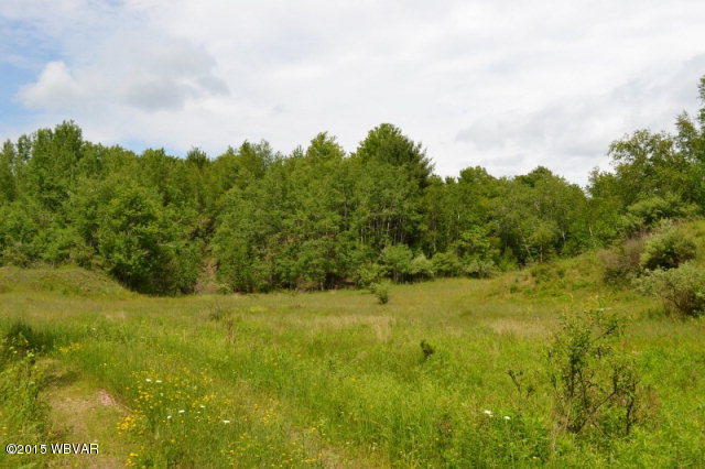 Lot 6 Shaffers Notch Road New Albany, PA 18833 - Photo 7 of 17 29548_6