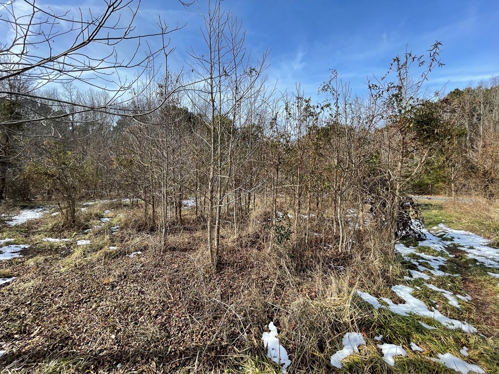 3.65 Old Neck Road, Unit 1 Weems, VA 22576 - Photo 33 of 35