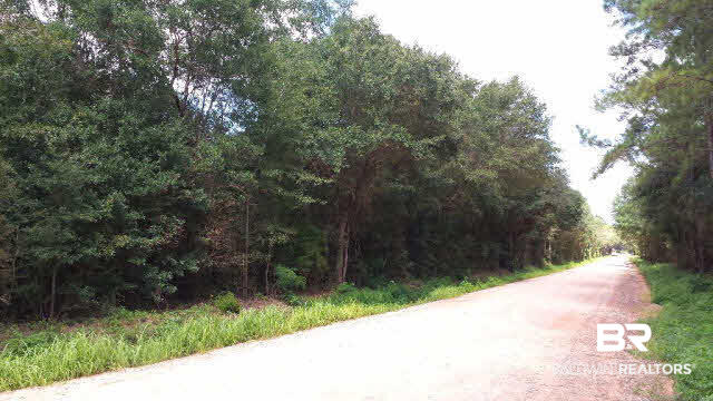 0 Faircloth Road Lillian, AL 36549 - Photo 2 of 3