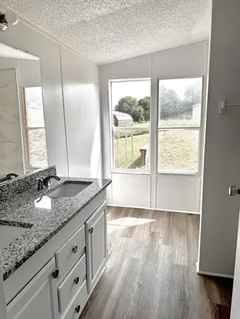 a bathroom with a granite countertop sink window and a mirror