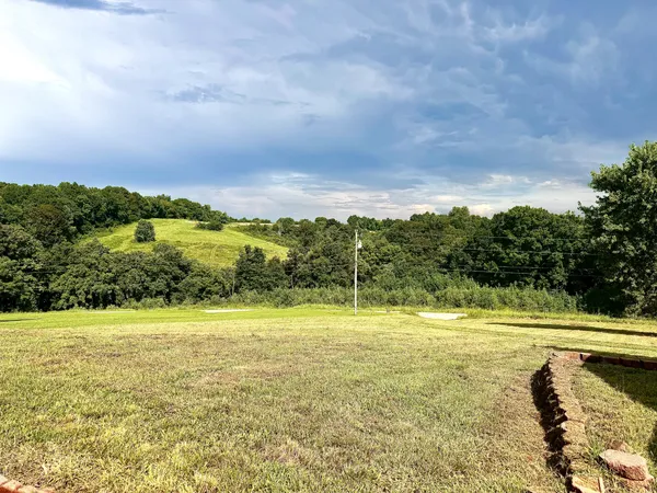 a view of a field with an ocean