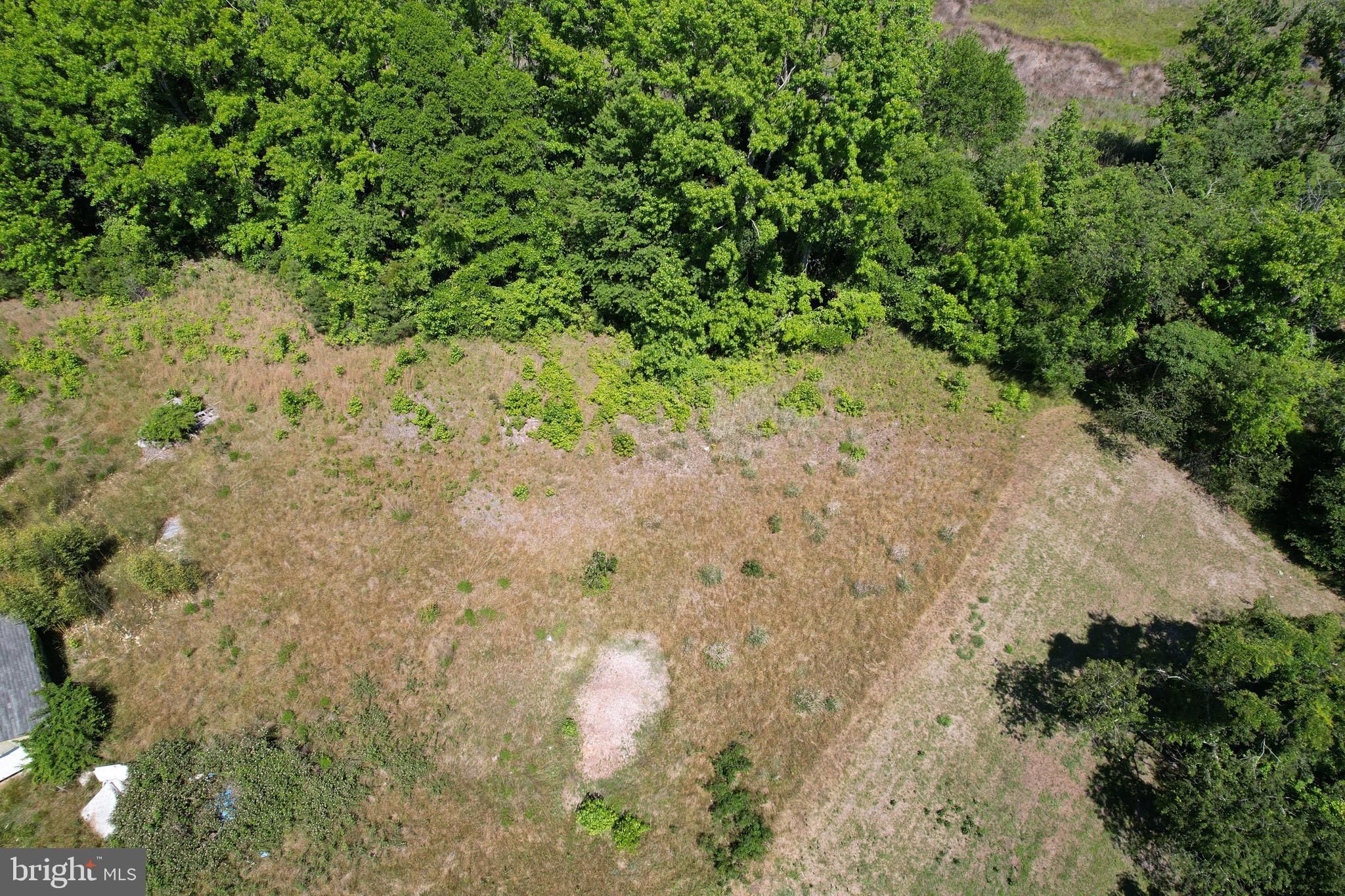 228 Fishhook Lane Deal Island, MD 21821 - Photo 9 of 10