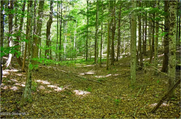 $74,900 | 77 Carriage Knoll Road, Chestertown, NY 12817