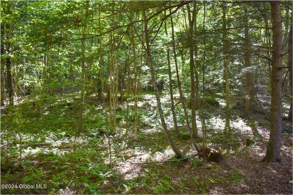 $74,900 | 77 Carriage Knoll Road, Chestertown, NY 12817