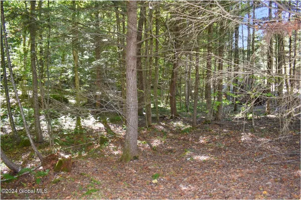 $74,900 | 77 Carriage Knoll Road, Chestertown, NY 12817