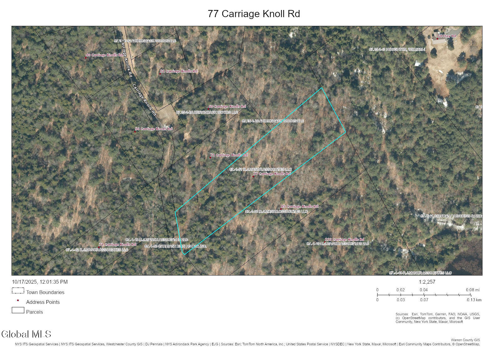 77 Carriage Knoll Road Chestertown, NY 12817 - Photo 19 of 19 77 Carriage