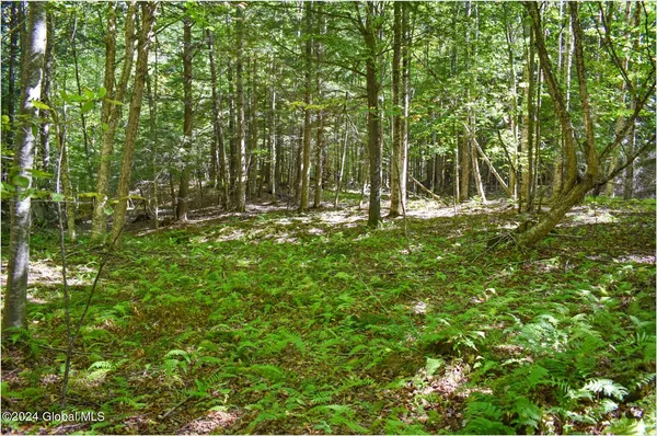 $74,900 | 77 Carriage Knoll Road, Chestertown, NY 12817