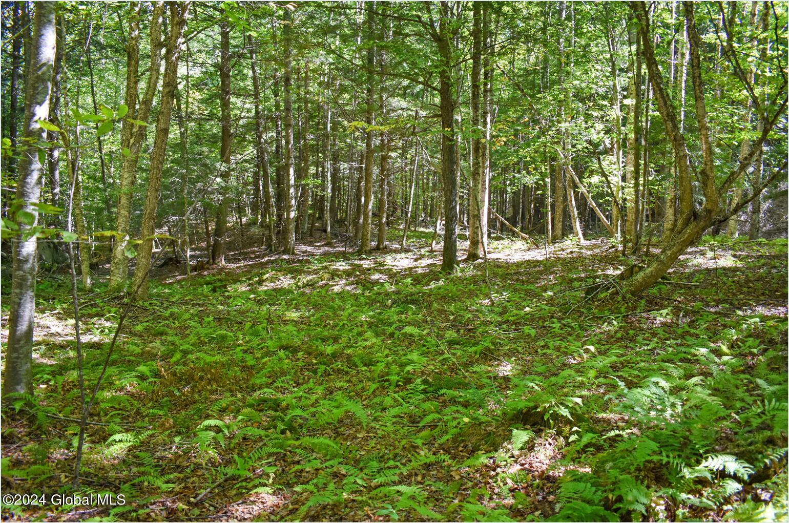 77 Carriage Knoll Road Chestertown, NY 12817 - Photo 7 of 19 77c