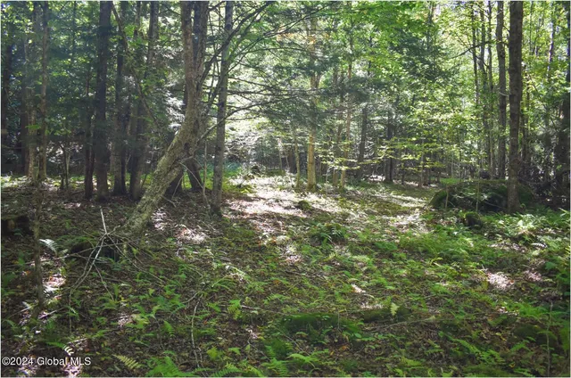 $74,900 | 77 Carriage Knoll Road, Chestertown, NY 12817