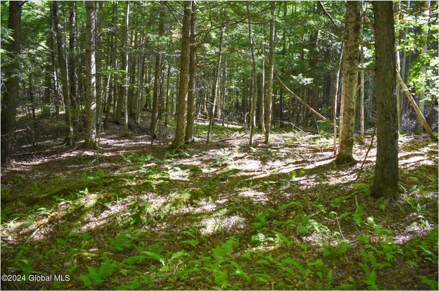 $74,900 | 77 Carriage Knoll Road, Chestertown, NY 12817