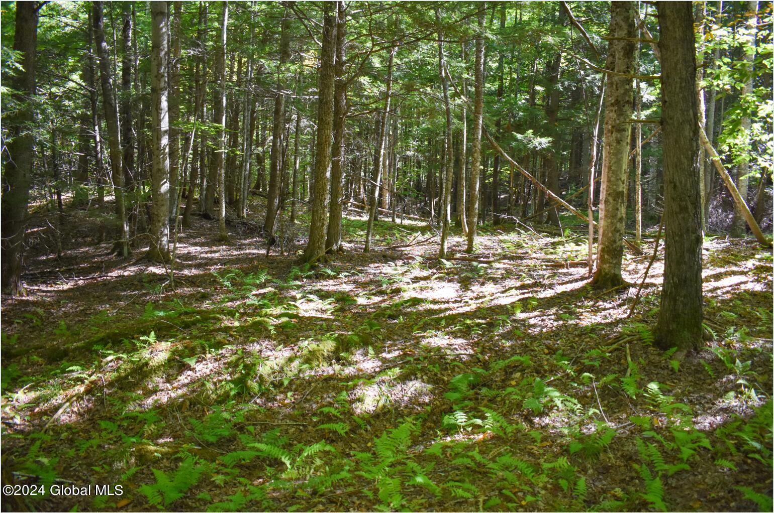 77 Carriage Knoll Road Chestertown, NY 12817 - Photo 9 of 19 77e