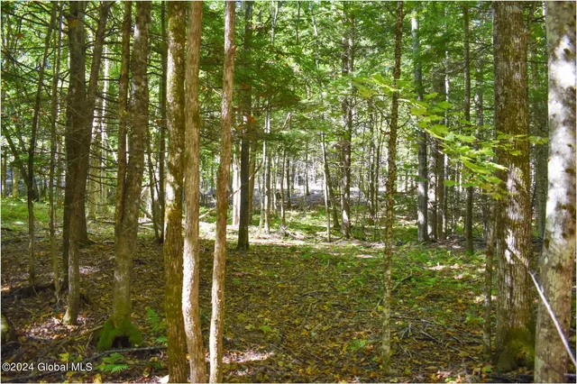 $74,900 | 77 Carriage Knoll Road, Chestertown, NY 12817