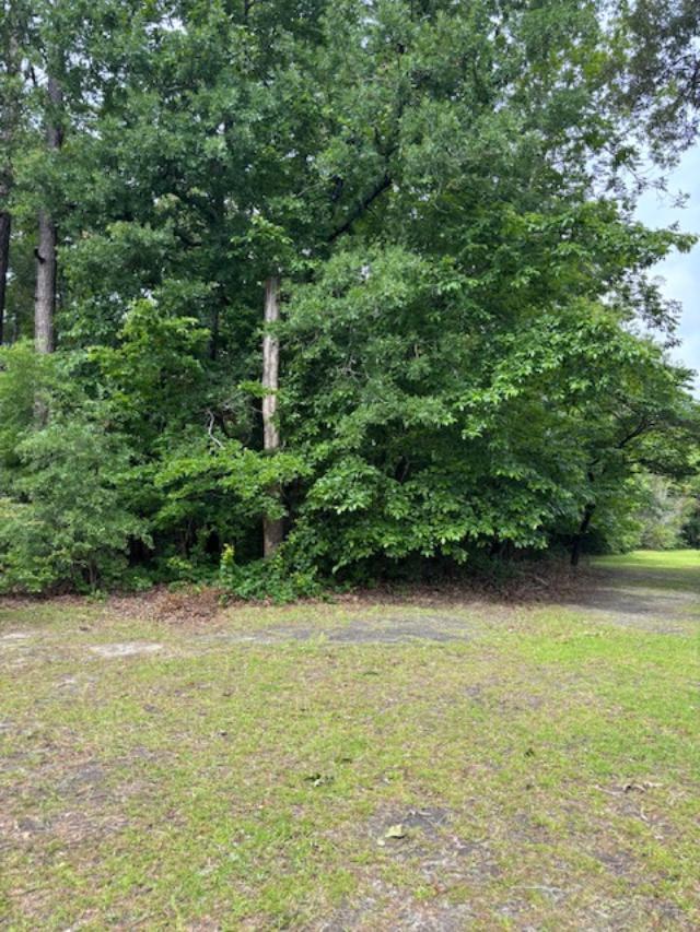 0 Sc Highway Barnwell, SC 29812 - Photo 2 of 4 a view of a lake view