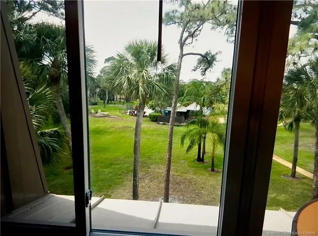 a view of yard from a window