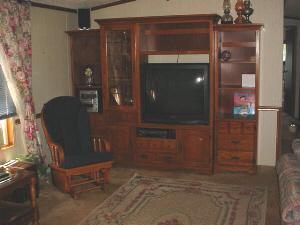 5611 Tripp Road Osseo, MI 49266 - Photo 3 of 10 Additional Photo
