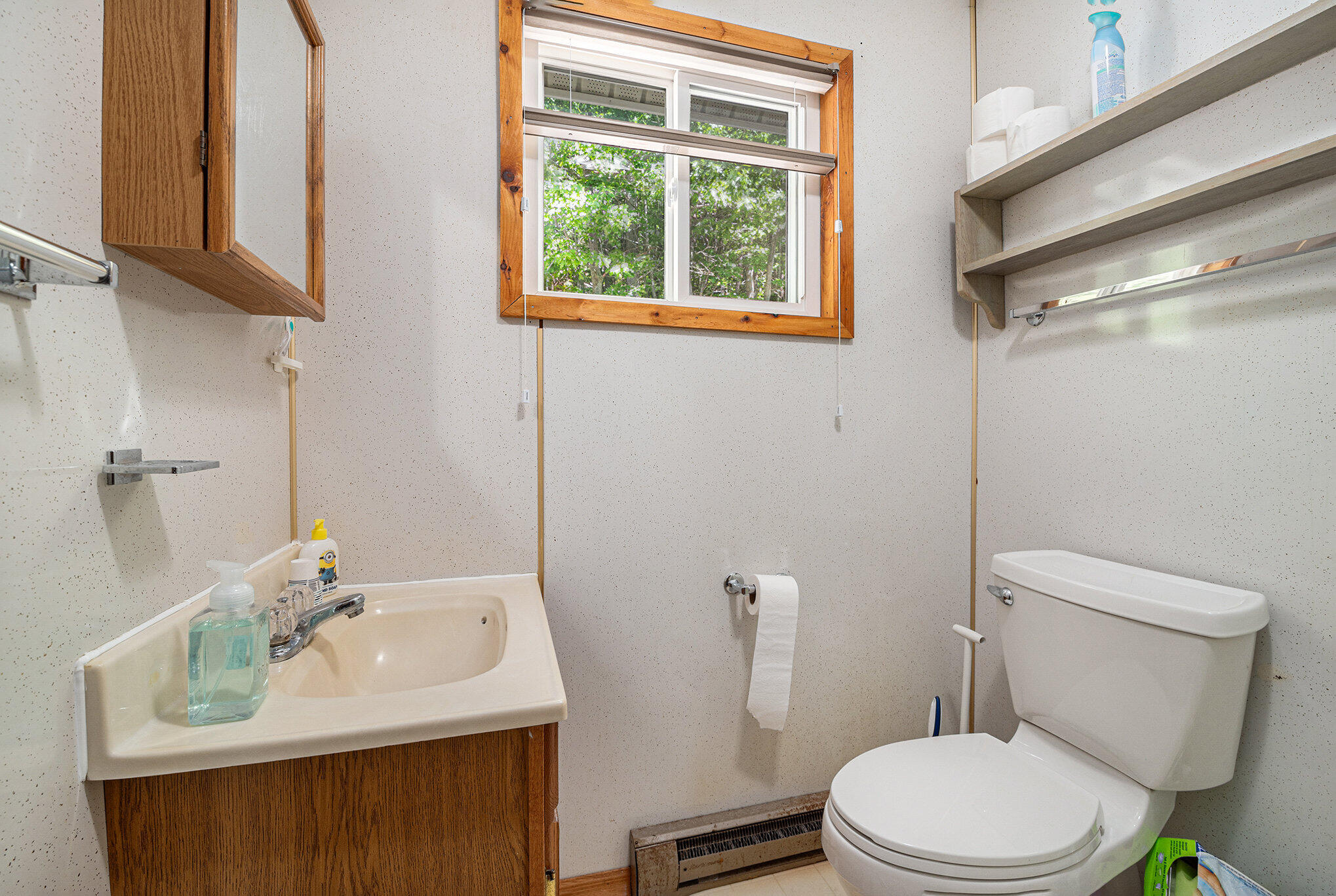 13100 Silver Lake Resort Road Wolverine, MI 49799 - Photo 19 of 31 Gallery Image 19
