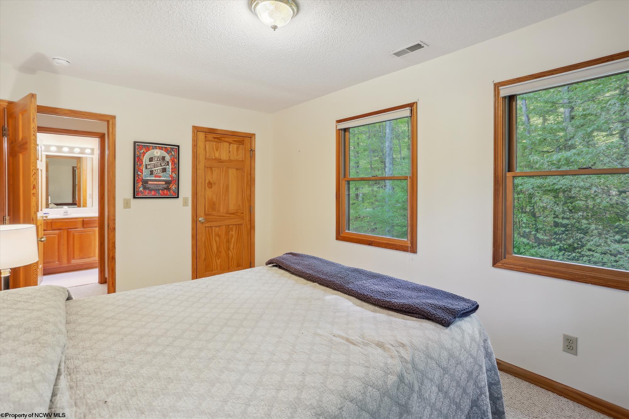 1731 Cabin Mountain Road Davis, WV 26260 - Photo 20 of 40 Gallery Image 20