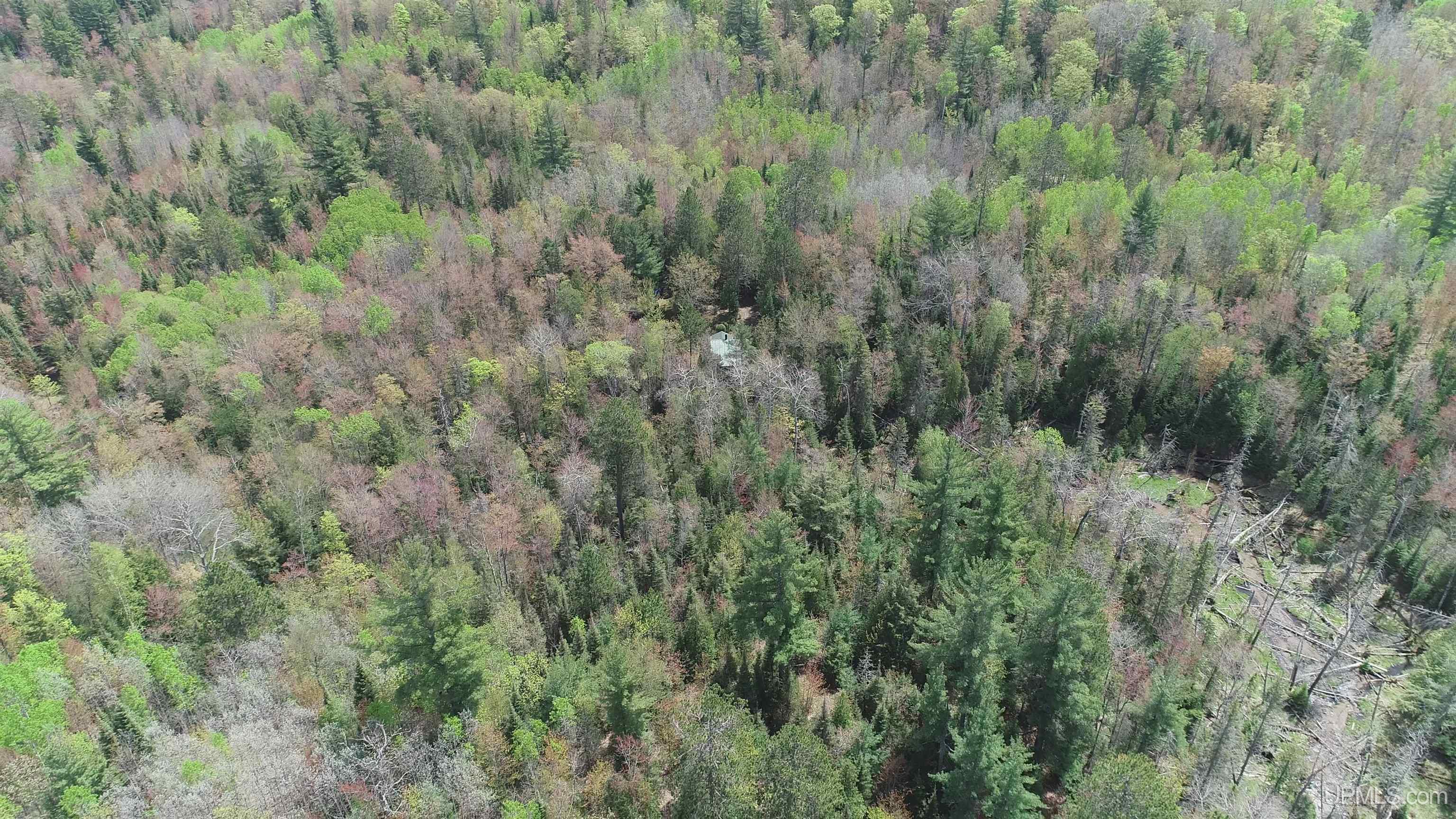 38-acres County Rd NA Road Marquette, MI 49855 - Photo 64 of 70