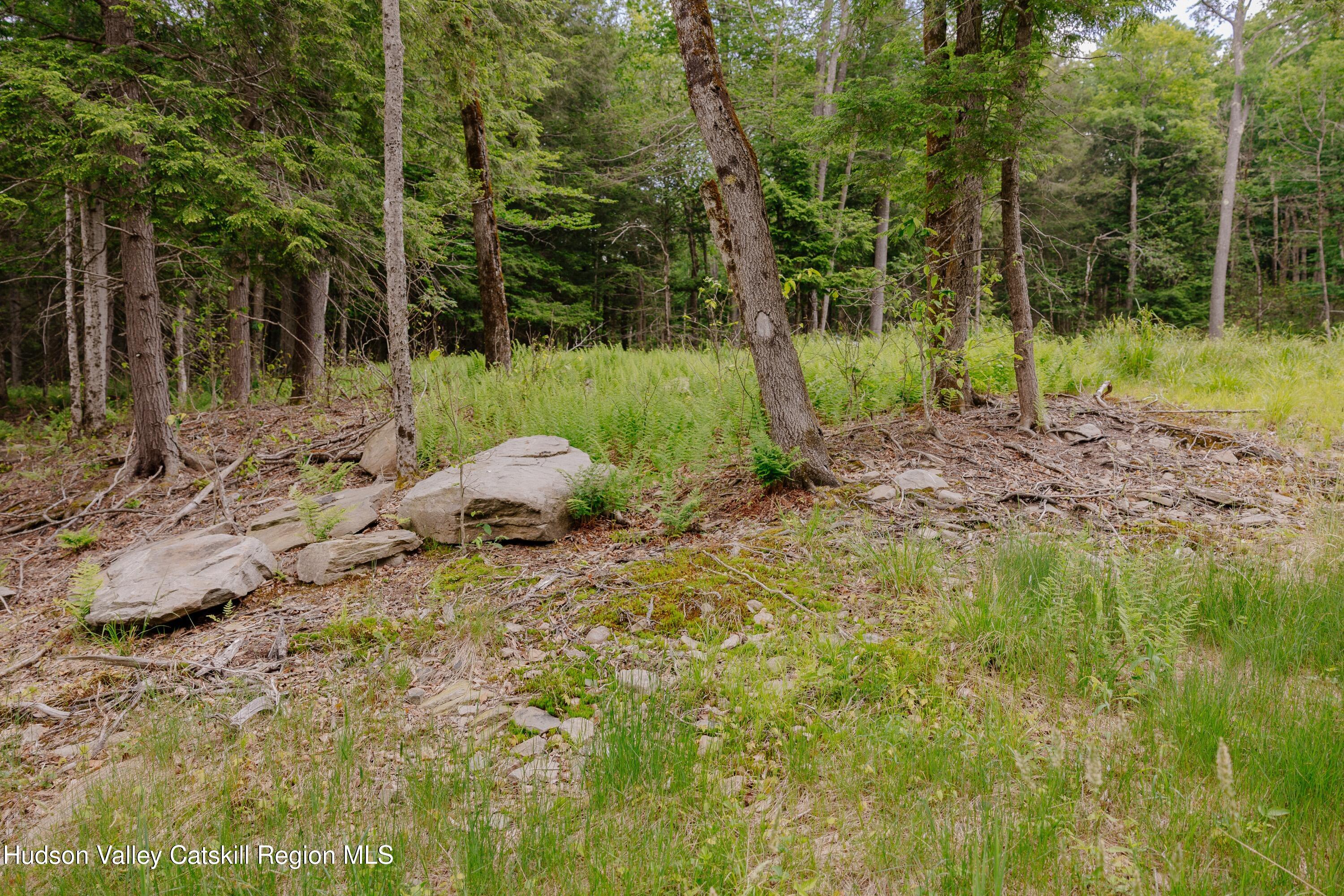 Tbd Church Lake Road Livingston Manor, NY 12758 - Photo 14 of 33 shandelee-woods-thatupstateagent-1-14