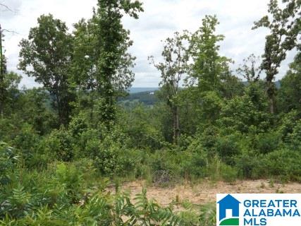 0 Beaver Ridge Drive, Unit 42 48 Ashville, AL 35953 - Photo 5 of 26