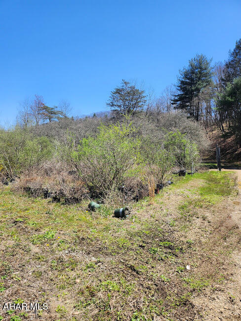 495 Ritchey Bridge Road Everett, PA 15537 - Photo 14 of 27 Gallery Image 14