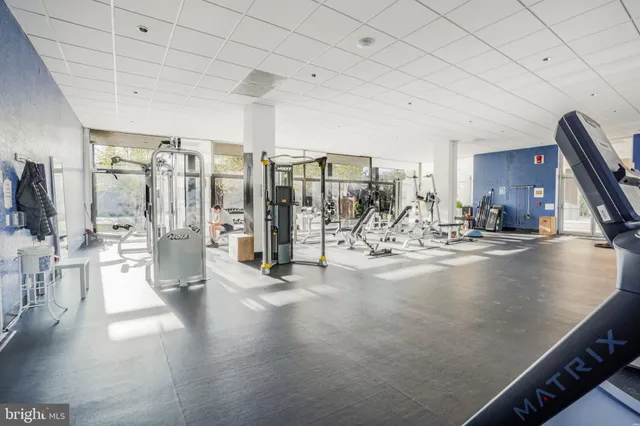 a view of a park with large trees