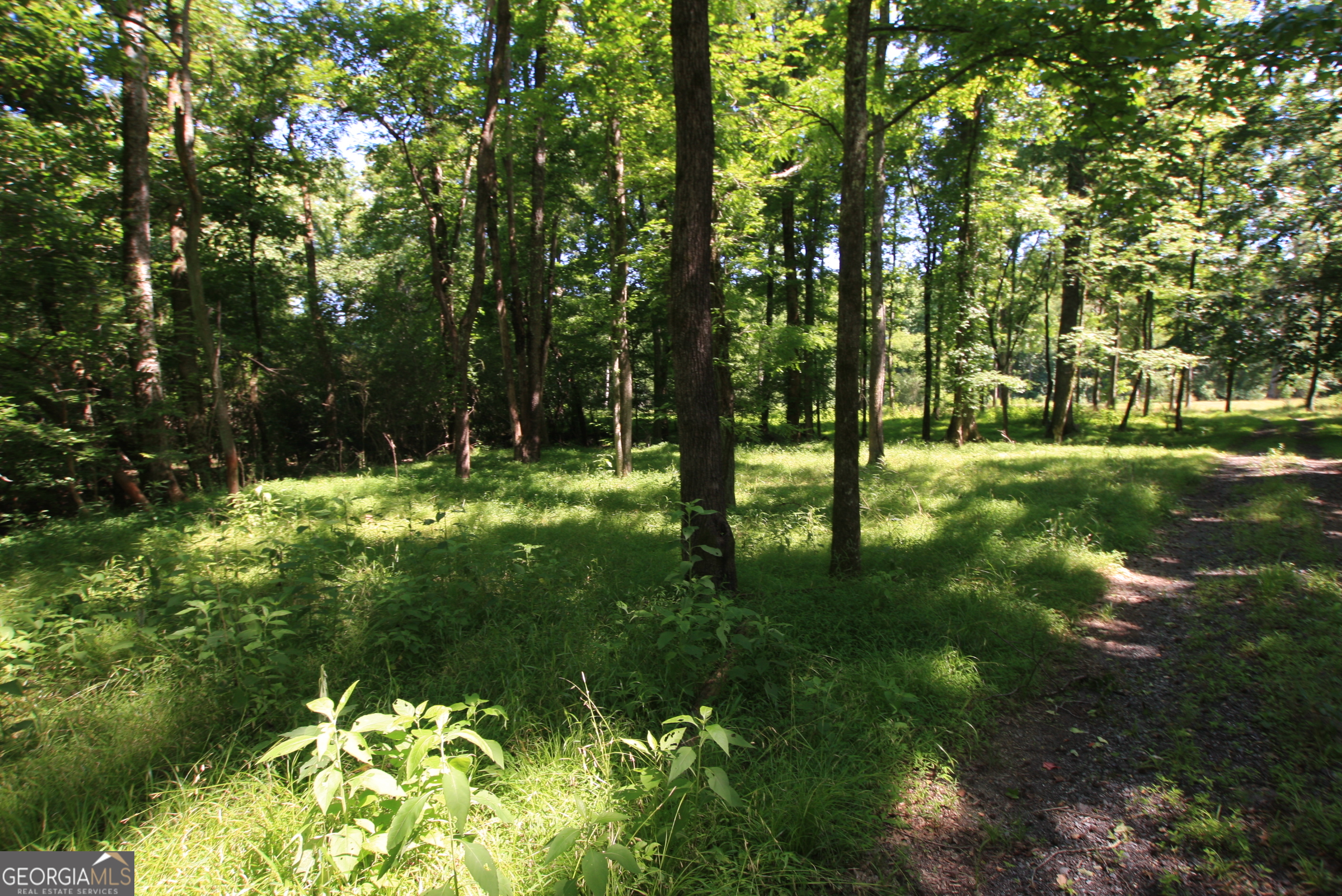 0 Mcgee Bend Road Rome, GA 30165 - Photo 16 of 33
