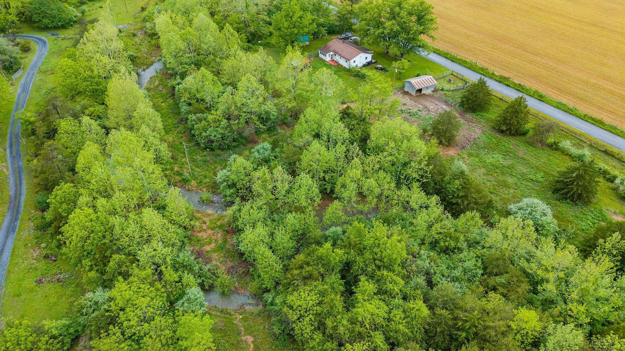 3292 Deerfield Valley Road Deerfield, VA 24432 - Photo 63 of 69