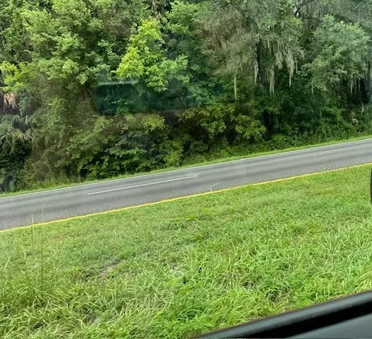 a view of a yard with a large trees