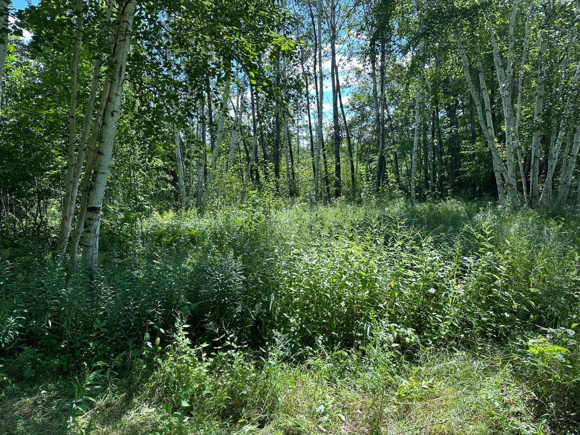 Tbd Tbd Nokay Hall Road Brainerd, MN 56401 - Photo 19 of 31