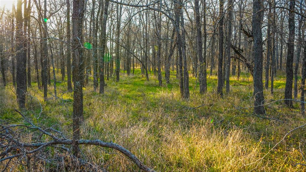 Tbd Camp Creek Road Temple, TX 76501 - Photo 32 of 40 a view of swimming pool from a yard
