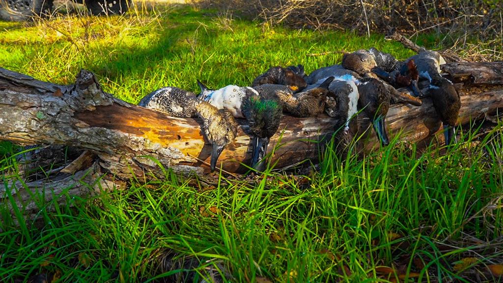 Tbd Camp Creek Road Temple, TX 76501 - Photo 36 of 40