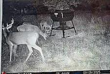 Tbd Camp Creek Road Temple, TX 76501 - Photo 39 of 40 a view of a workspace