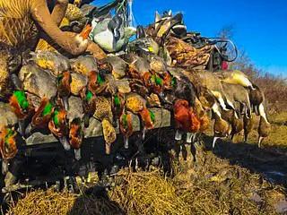 Tbd Camp Creek Road Temple, TX 76501 - Photo 5 of 40 a view of a tree